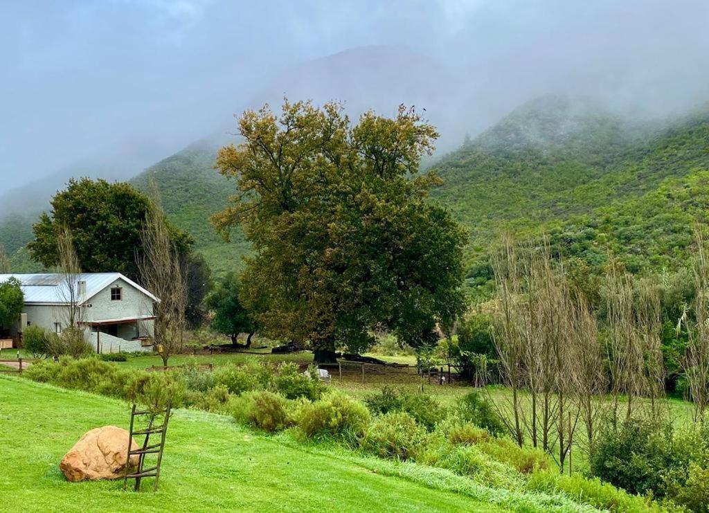 Pat Busch Mountain Reserve Robertson Exterior photo