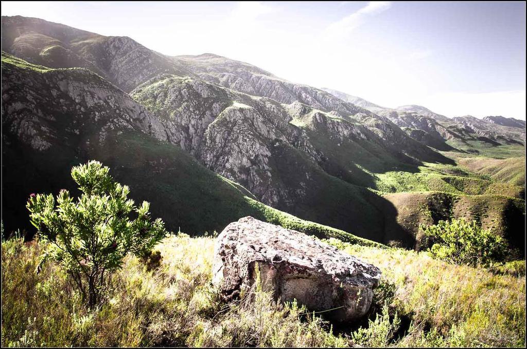 Pat Busch Mountain Reserve Robertson Exterior photo