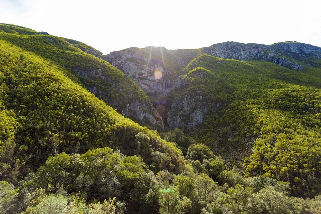 Pat Busch Mountain Reserve Robertson Exterior photo